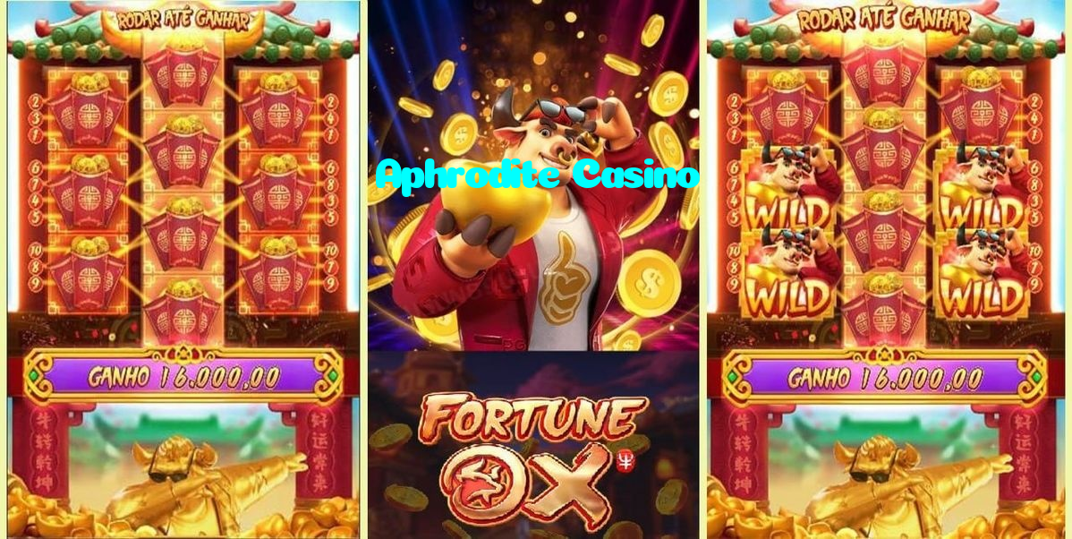 available types of Aphrodite Casino bet including pre-match live express and system bets